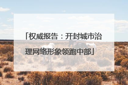 权威报告：开封城市治理网络形象领跑中部